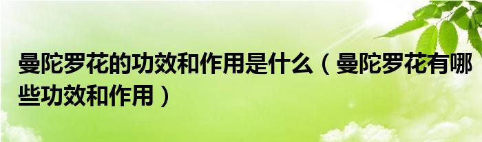 曼陀罗花的功效和作用是什么（曼陀罗花有哪些功效和作用）