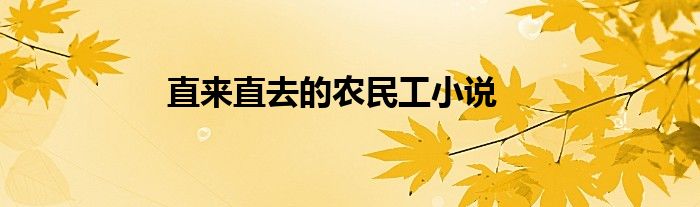 直来直去的农民工小说