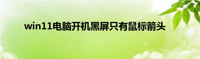 win11电脑开机黑屏只有鼠标箭头