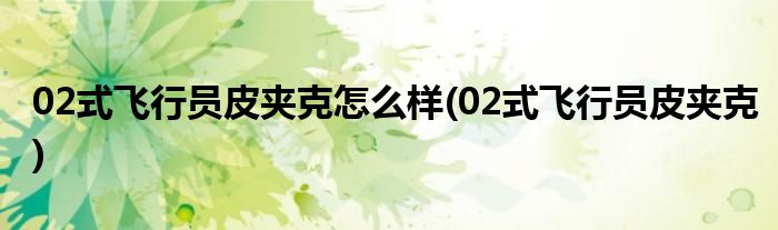 02式飞行员皮夹克怎么样(02式飞行员皮夹克)