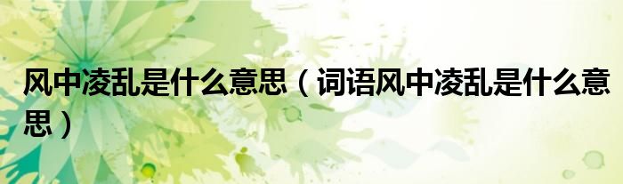 风中凌乱是什么意思（词语风中凌乱是什么意思）