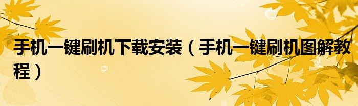 手机一键刷机下载安装（手机一键刷机图解教程）