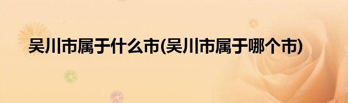吴川市属于什么市(吴川市属于哪个市)