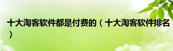 十大淘客软件都是付费的（十大淘客软件排名）