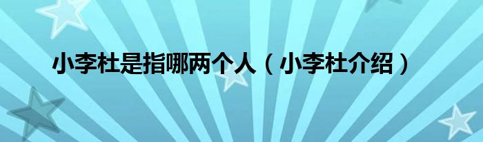 小李杜是指哪两个人（小李杜介绍）