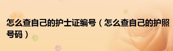 怎么查自己的护士证编号（怎么查自己的护照号码）