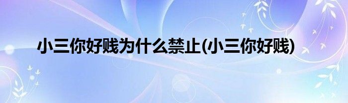 小三你好贱为什么禁止(小三你好贱)
