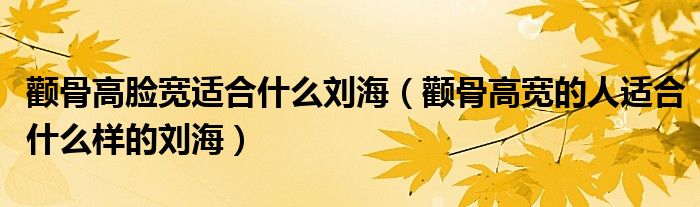 颧骨高脸宽适合什么刘海（颧骨高宽的人适合什么样的刘海）