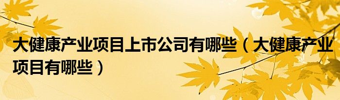 大健康产业项目上市公司有哪些（大健康产业项目有哪些）
