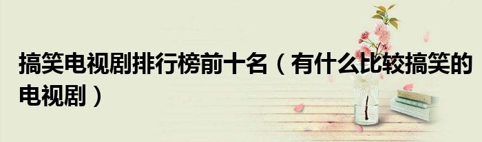 搞笑电视剧排行榜前十名（有什么比较搞笑的电视剧）
