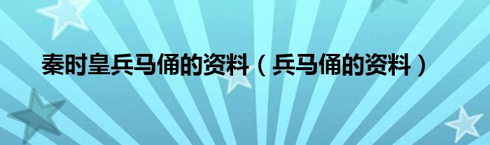秦时皇兵马俑的资料（兵马俑的资料）