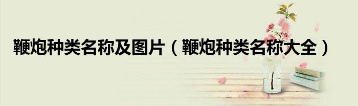 鞭炮种类名称及图片（鞭炮种类名称大全）