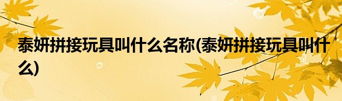 泰妍拼接玩具叫什么名称(泰妍拼接玩具叫什么)