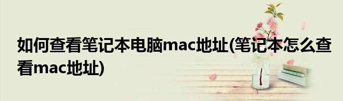 如何查看笔记本电脑mac地址(笔记本怎么查看mac地址)