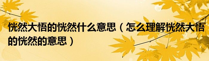 恍然大悟的恍然什么意思（怎么理解恍然大悟的恍然的意思）