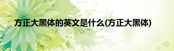 方正大黑体的英文是什么(方正大黑体)