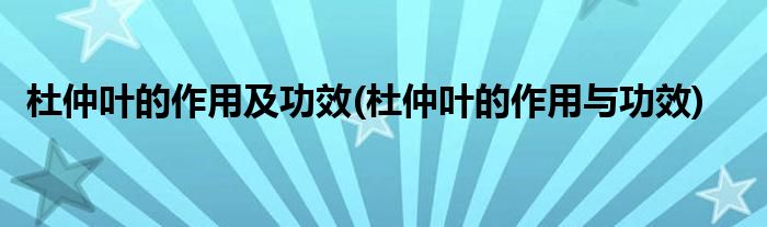 杜仲叶的作用及功效(杜仲叶的作用与功效)