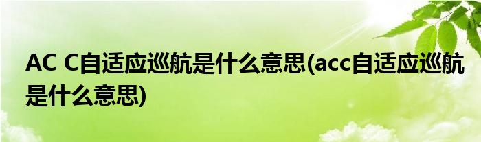 AC C自适应巡航是什么意思(acc自适应巡航是什么意思)