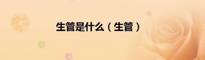 生管是什么（生管）