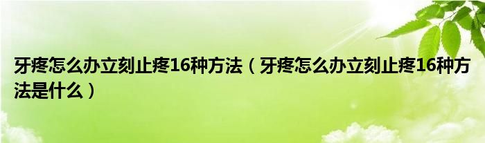 牙疼怎么办立刻止疼16种方法（牙疼怎么办立刻止疼16种方法是什么）
