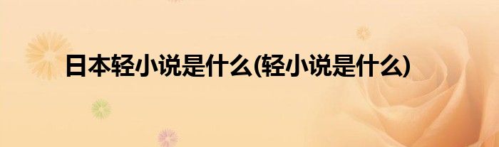 日本轻小说是什么(轻小说是什么)