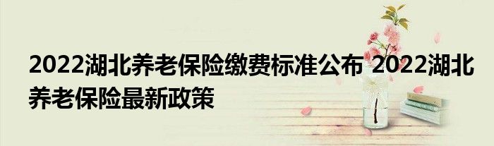 2022湖北养老保险缴费标准公布 2022湖北养老保险最新政策