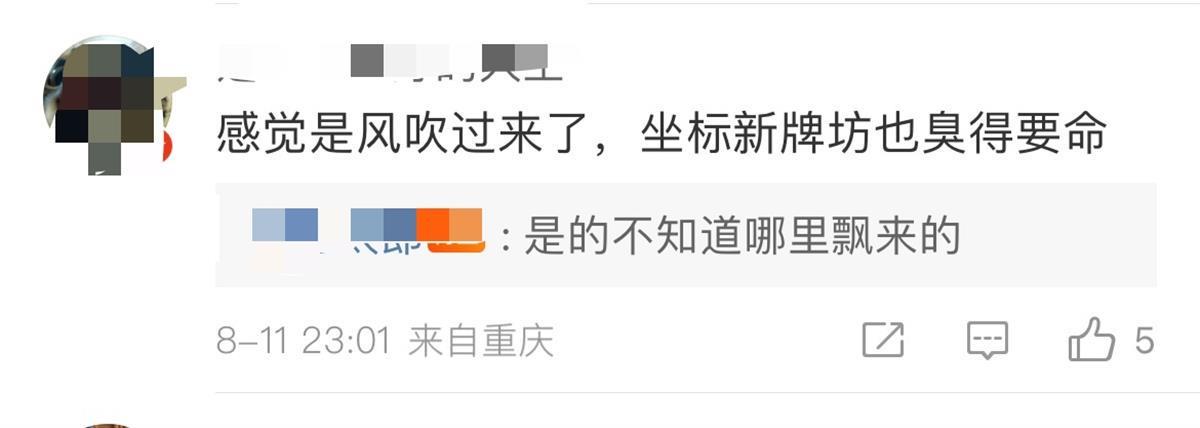 重庆回应“主城区多地闻到臭味”：多种原因所致