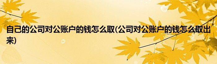 自己的公司对公账户的钱怎么取(公司对公账户的钱怎么取出来)