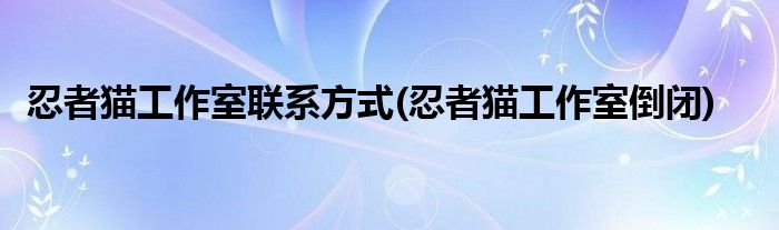 忍者猫工作室联系方式(忍者猫工作室倒闭)
