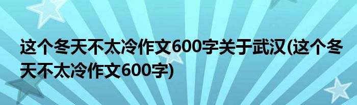 这个冬天不太冷作文600字关于武汉(这个冬天不太冷作文600字)