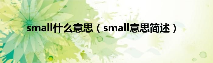 small什么意思（small意思简述）