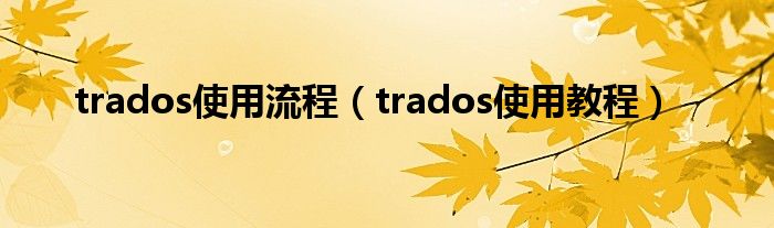 trados使用流程（trados使用教程）