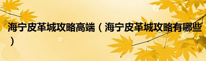 海宁皮革城攻略高端（海宁皮革城攻略有哪些）