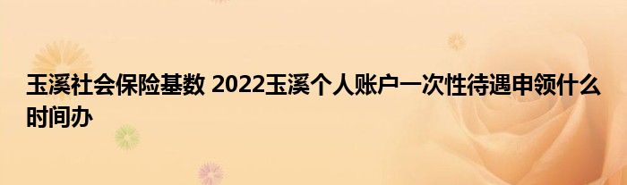 玉溪社会保险基数 2022玉溪个人账户一次性待遇申领什么时间办