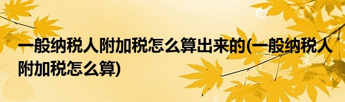 一般纳税人附加税怎么算出来的(一般纳税人附加税怎么算)