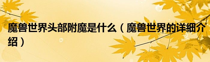 魔兽世界头部附魔是什么（魔兽世界的详细介绍）