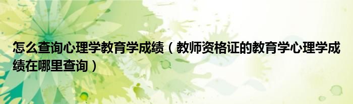 怎么查询心理学教育学成绩（教师资格证的教育学心理学成绩在哪里查询）