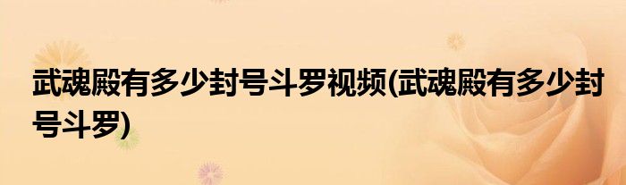 武魂殿有多少封号斗罗视频(武魂殿有多少封号斗罗)