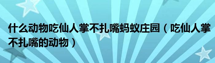 什么动物吃仙人掌不扎嘴蚂蚁庄园（吃仙人掌不扎嘴的动物）