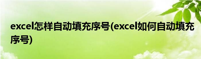 excel怎样自动填充序号(excel如何自动填充序号)