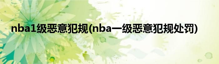 nba1级恶意犯规(nba一级恶意犯规处罚)