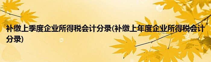 补缴上季度企业所得税会计分录(补缴上年度企业所得税会计分录)