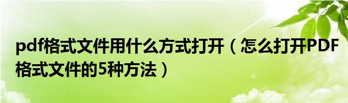 pdf格式文件用什么方式打开（怎么打开PDF格式文件的5种方法）
