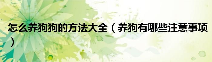 怎么养狗狗的方法大全（养狗有哪些注意事项）