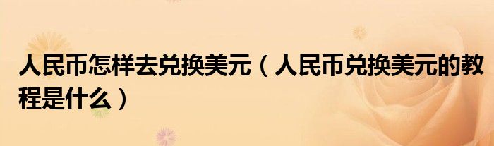 人民币怎样去兑换美元（人民币兑换美元的教程是什么）