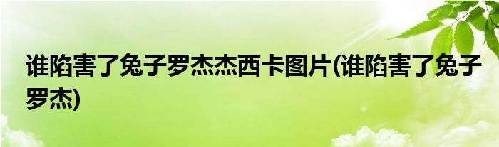 谁陷害了兔子罗杰杰西卡图片(谁陷害了兔子罗杰)