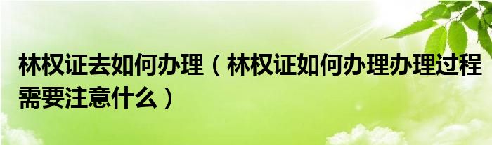 林权证去如何办理（林权证如何办理办理过程需要注意什么）
