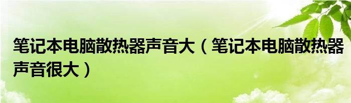 笔记本电脑散热器声音大（笔记本电脑散热器声音很大）