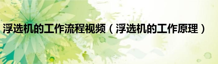 浮选机的工作流程视频（浮选机的工作原理）