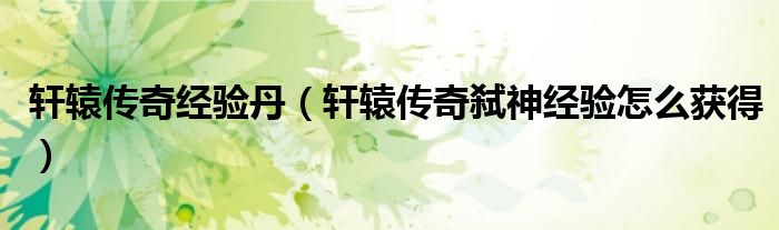 轩辕传奇经验丹（轩辕传奇弑神经验怎么获得）